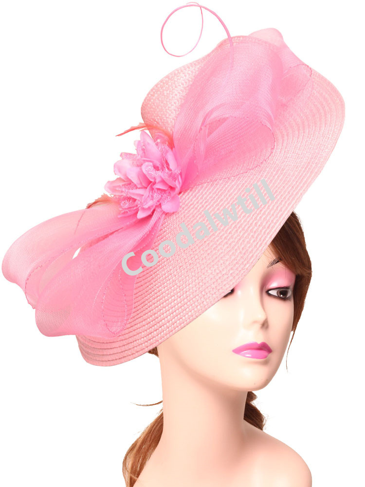 Eleganter Tea Party Fascinator – Women'S Fashion Kentucky Derby Bewertung und Preis