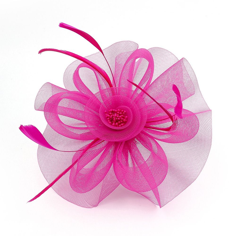 Federn Band Fascinator Hüte Vi – Women'S Fashion Kentucky Derby Bewertung und Preis