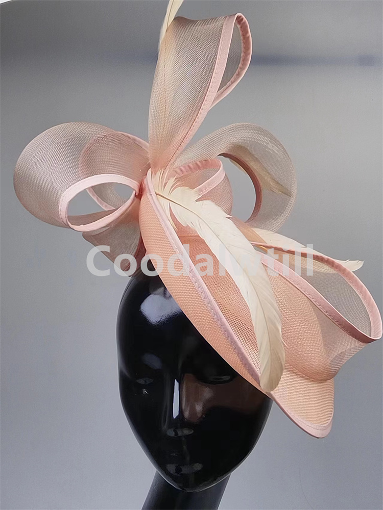 Neue Pillbox Fascinator Hut Fr – Women'S Fashion Kentucky Derby Bewertung und Preis