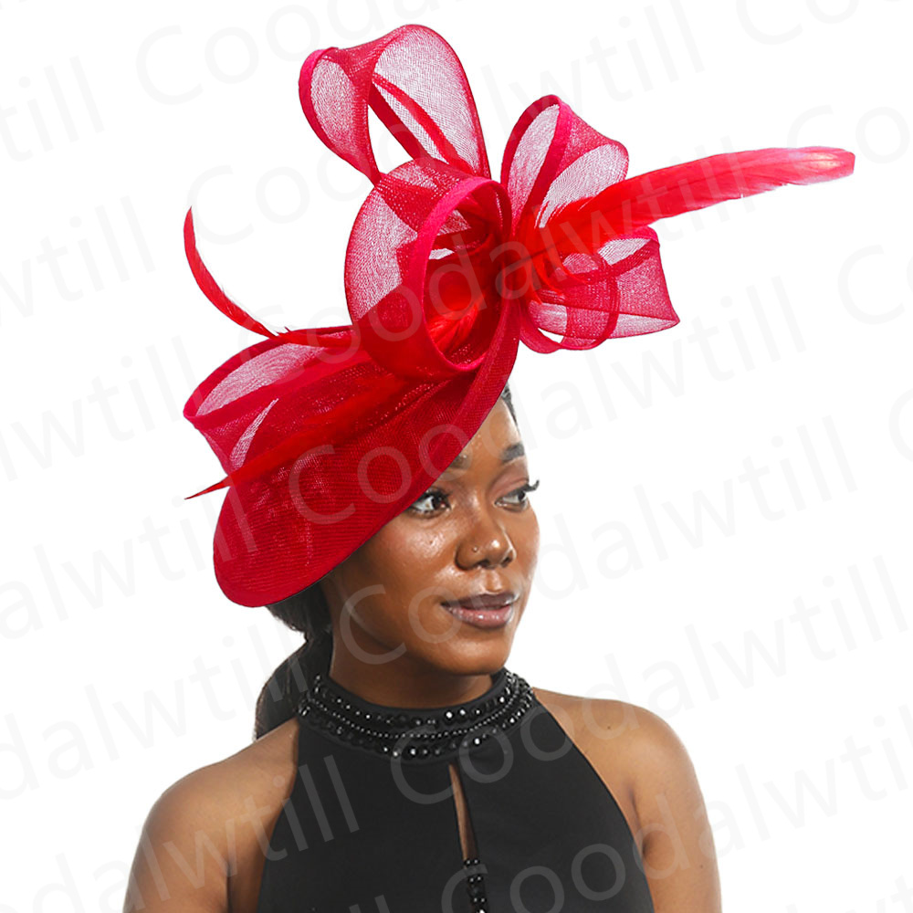 Neue Pillbox Fascinator Hut Fr – Women'S Fashion Kentucky Derby Bewertung und Preis